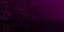 purple and black bg