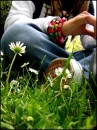 grass
