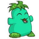 Green Chia