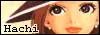 hachi