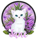 Jane