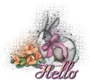hello