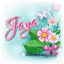 Flowers: Jaya