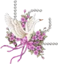 peony