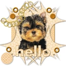 hello