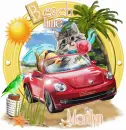 Beach Time /Cat/Marilyn
