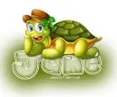 Turtle: Jane