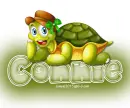 Turtle: Connie