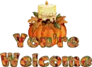 you are welcome