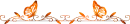 divider