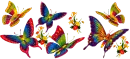 colorful