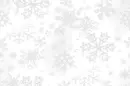 White Snowflakes