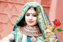 (jodha akbar paridhi sharma):