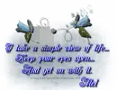 Mel - View Of Life - Flowers