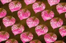 Pink leaves