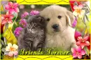Friends Forever~!