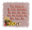 True Friends - Jane