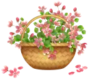 pink flower basket