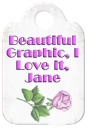 Pink Rose - Jane