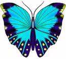 Animated Butterfly