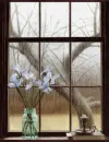 windows,panorama