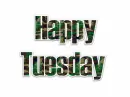 Happy Tuesday