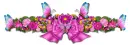 Floral Divider 