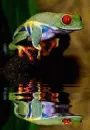 animated,picture