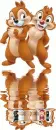 animated,picture,Chip,Dale