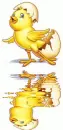 animated,picture,chick