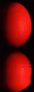 egg,animated,picture