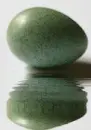 egg,animated,picture