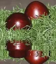 egg,animated,picture