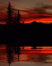 nature,night,picture