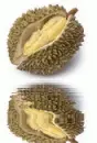 animated,picture,fruit