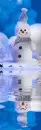 animated,picture,snowman,winter