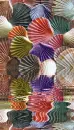 animated,picture,shells
