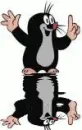 animated,picture,