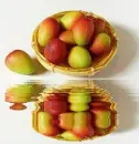 animated,picture,mango,fruit