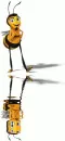 animated,picture,bee