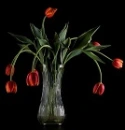 background,black
