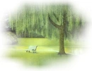 background,