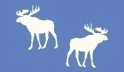 background,