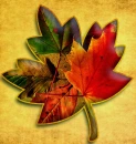 AUTUMN LEAVES 3 BACKGROUND