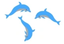 background,picture
