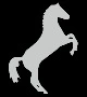 background,picture