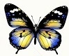 background,picture