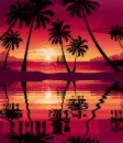 animated,picture,sunset,palm