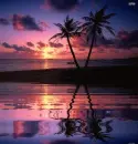 animated,picture,sunset,nature