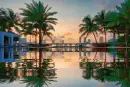 animated,picture,nature,palms